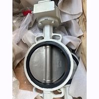 شیر پروانه ای دیسک استیل داپلکس